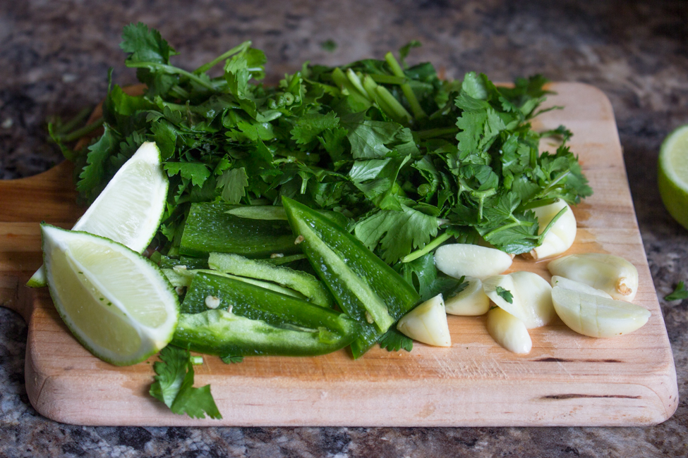 Quick and Easy Cilantro Lime Marinade