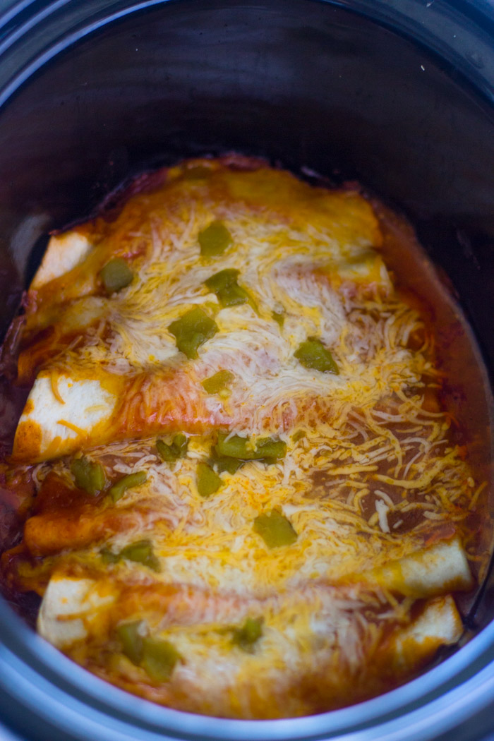 Slow Cooker Chicken Enchiladas