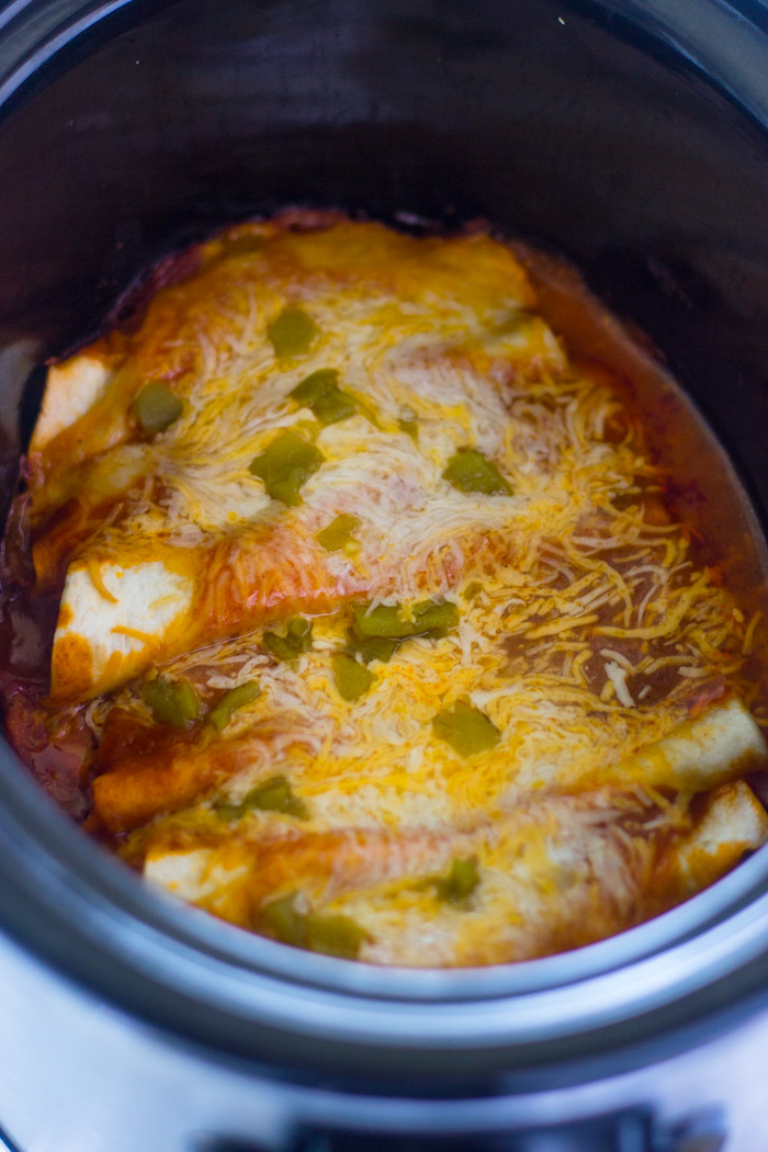 Slow Cooker Chicken Enchiladas