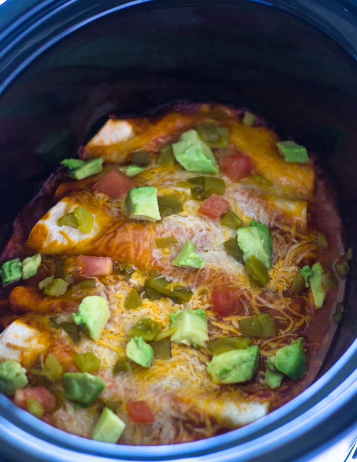 Slow Cooker Chicken Enchiladas