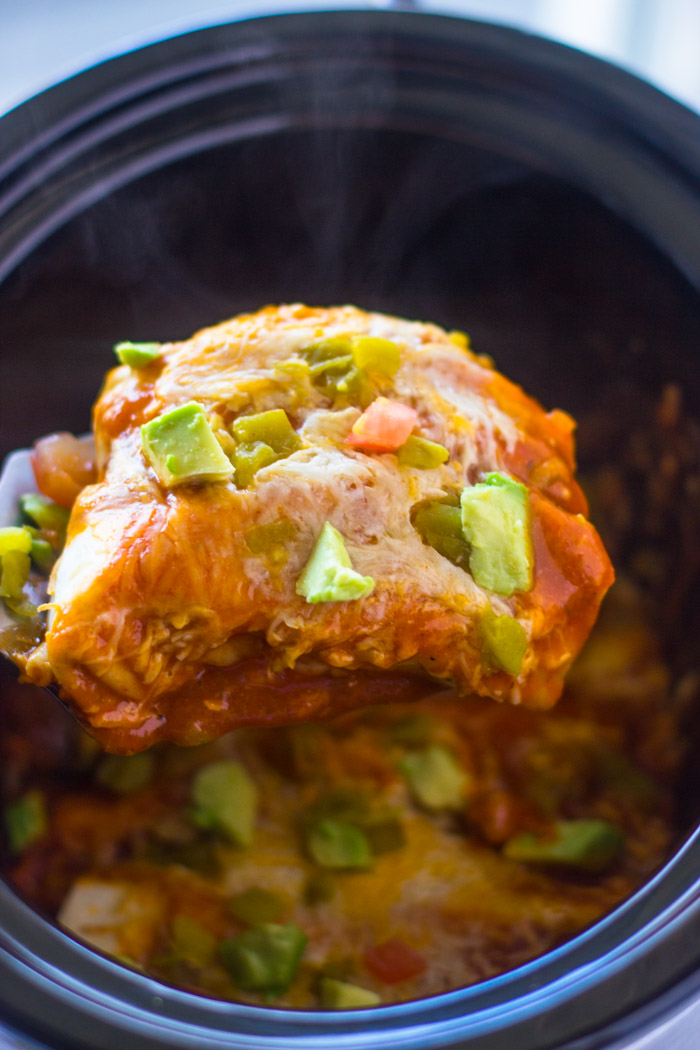 Slow Cooker Chicken Enchiladas