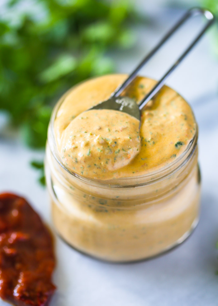 5 Minute Skinny Chipotle Sauce
