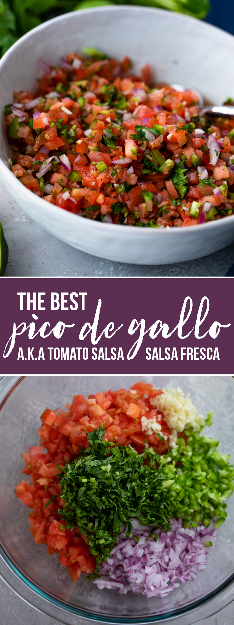 Pico De Gallo (Fresh Tomato Salsa)