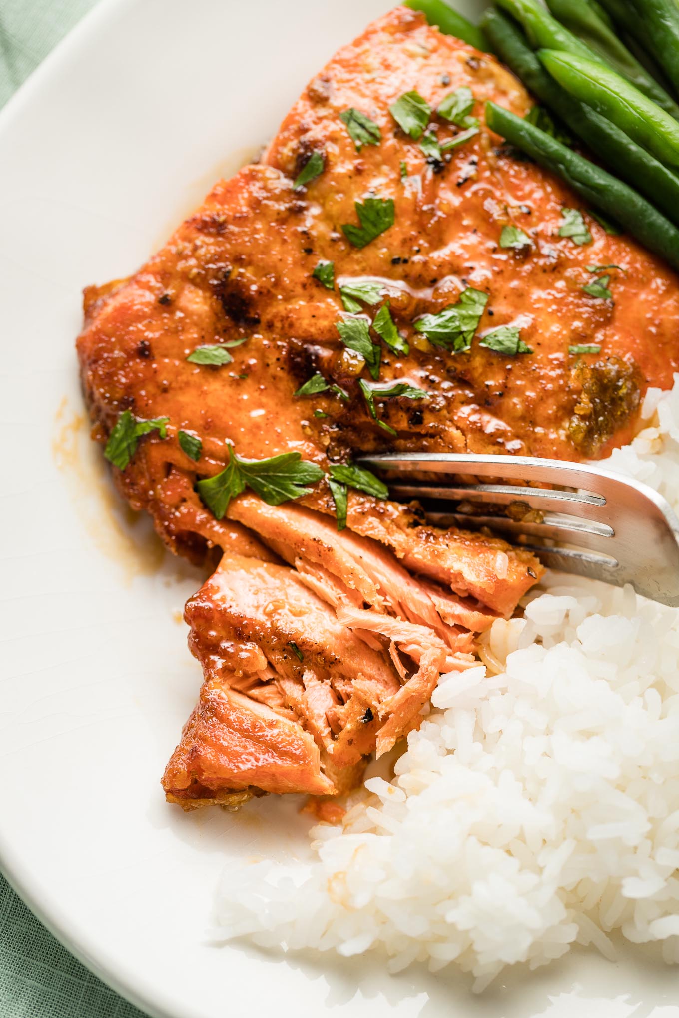 Close-up of flaked salmon.